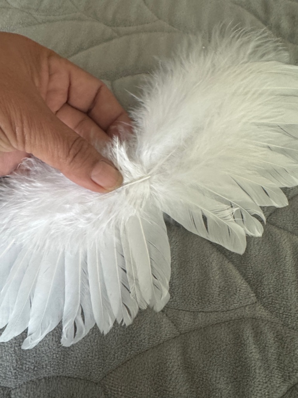 Labubu’s White Feather Angel Wings and White Lace DELUXE outfit - Picture 4 of 6